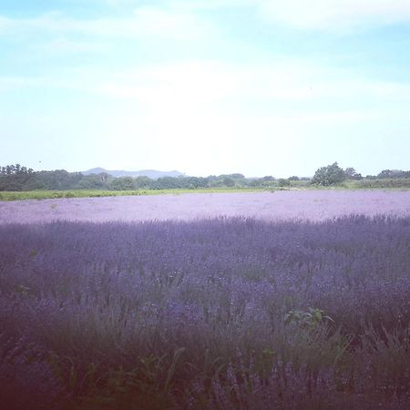 B&B Maison Felisa Sabran ภายนอก รูปภาพ