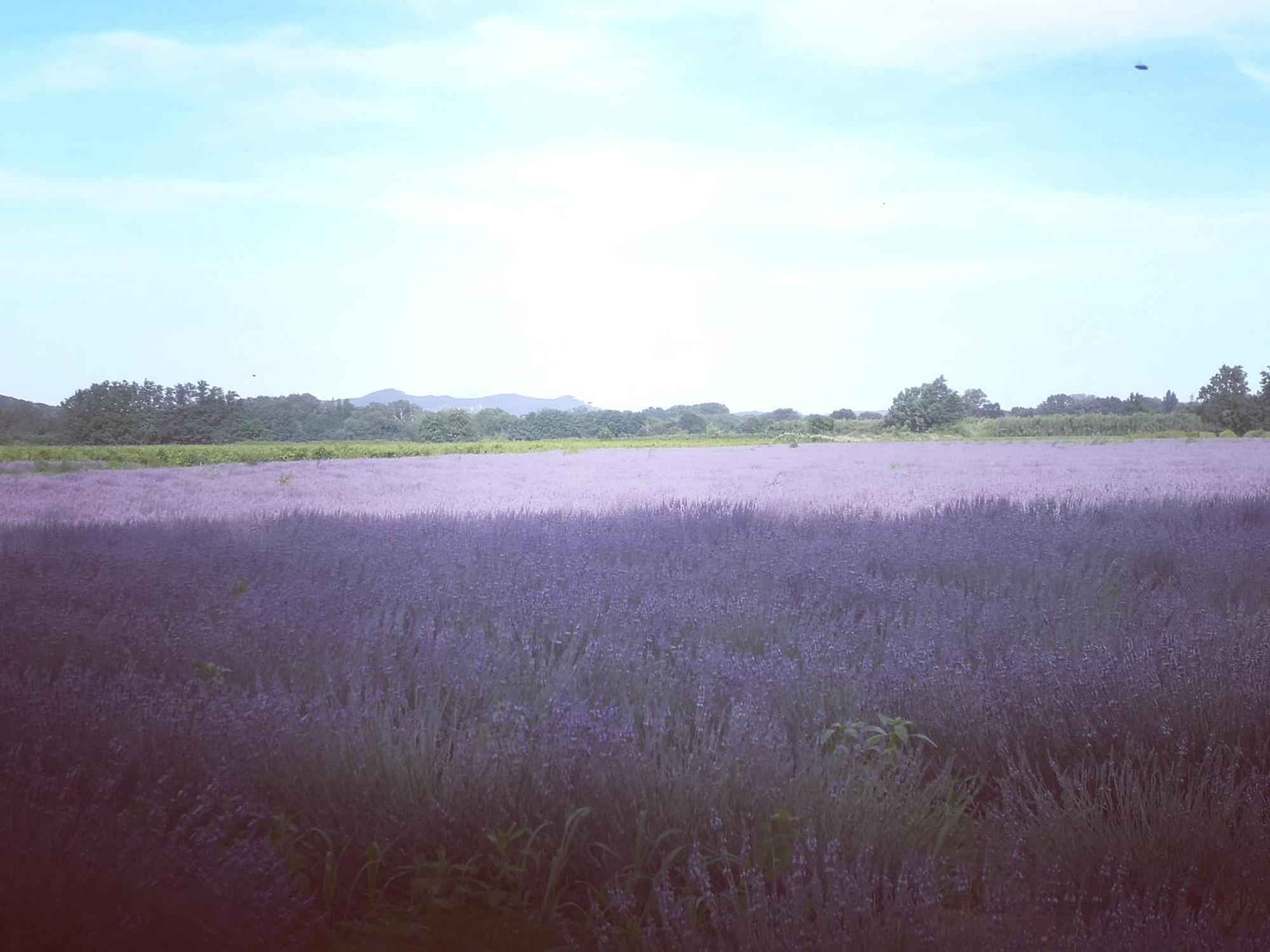 B&B Maison Felisa Sabran ภายนอก รูปภาพ